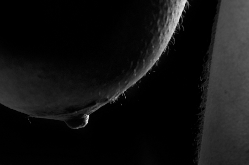 fragmento de foto de fer anyway